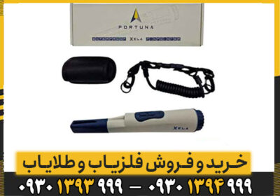 راهنمای کامل پین پوینتر فورتونا