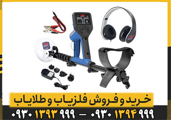 بررسی تخصصی فلزیاب ماینلب مدل گلدمانستر 1000